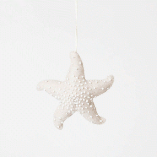 EggshellWaveStarfish Craftspring 1