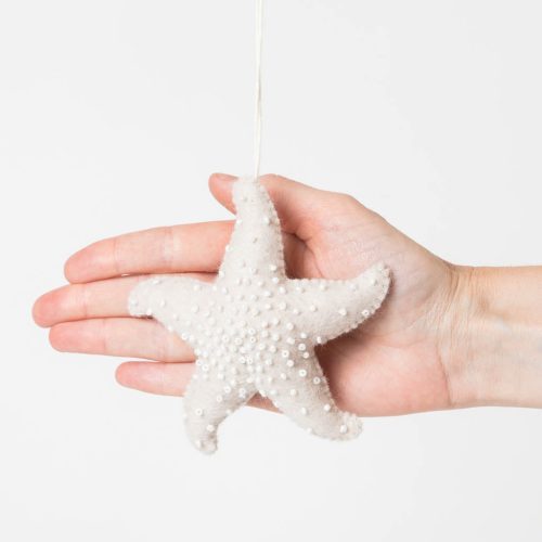 EggshellWaveStarfish Craftspring 4